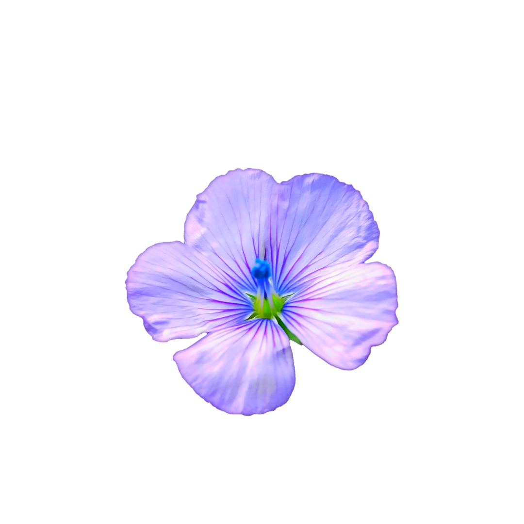 Alcune delle mie clienti